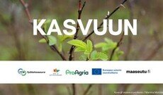  KASVUUN päätöstapahtuma: Juurikkasaari