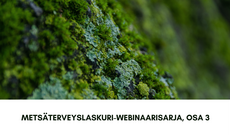 Metsäterveyslaskuri-webinaari osa 3