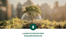 Luontoterveyswebinaari Terveyttä luonnosta - Tutkimustiedosta tekoihin