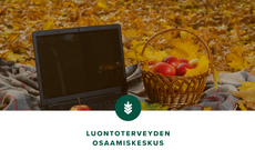 Luonnosta lisää virtaa työpäivään -webinaari