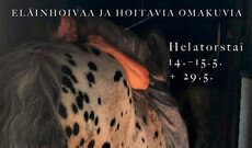 Eläinhoivaa ja hoitavia Omakuvia!