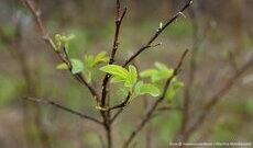 KASVUUN pienryhmä: Taloudellinen kestävyys ja kannattavuus