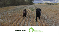 Ohjaajan työkalupakki -webinaari
