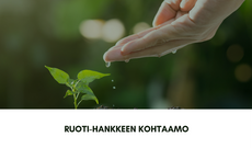 RUOTI-hankkeen Kohtaamo