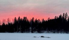 KASVUUN webinaari: Eri sertifikaattien ja laatumerkkien hyödyt